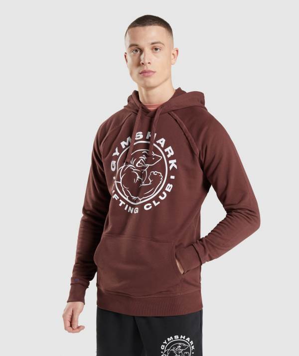 Panske Mikiny S Kapucňou Gymshark Legacy Ruzove Hnede | WQ1462053